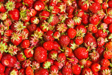 Similar image 612941