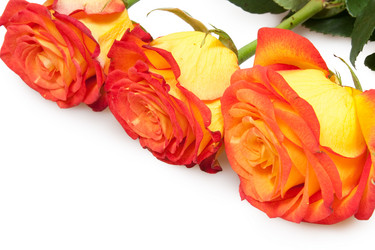 Similar image 612958