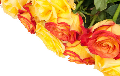 Similar image 612960