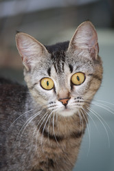 Similar image 612966