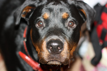 Similar image 612973