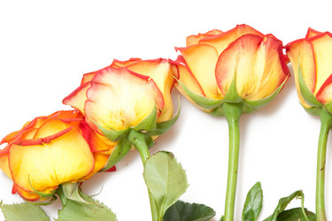 Similar image 612976