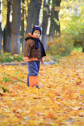 Similar image 612992