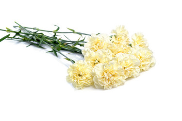 Similar image 612997