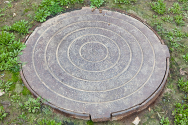 Similar image 613000