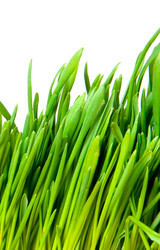 Similar image 613001