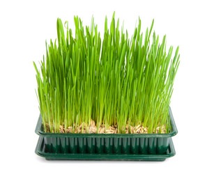 Similar image 613011