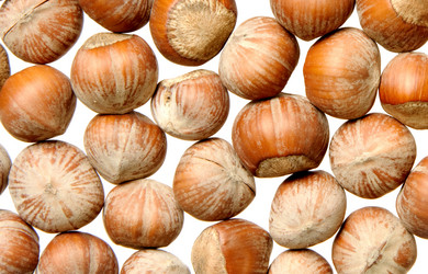 Similar image 613019