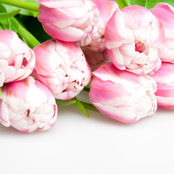 Similar image 613020