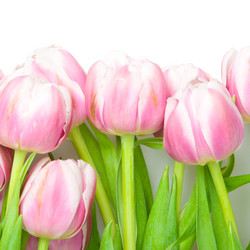 Similar image 613022