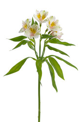 Similar image 613024