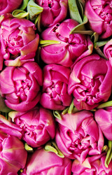 Similar image 613034