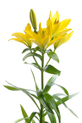 Similar image 613036