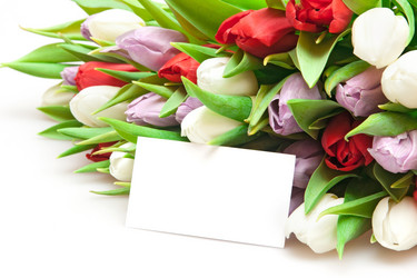 Similar image 613040