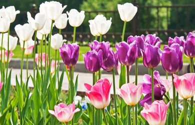 Similar image 613045