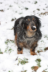 Similar image 613048