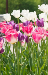 Similar image 613049