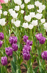 Similar image 613051