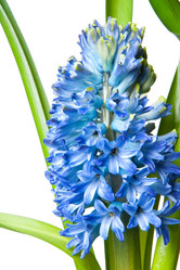 Similar image 613062