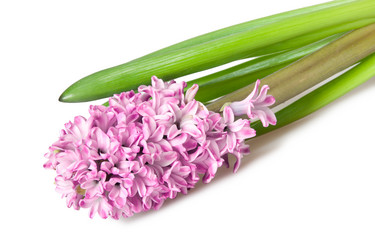 Similar image 613066