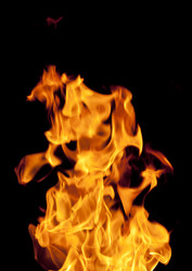 Similar image 613068