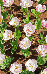 Similar image 613074