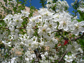 Similar image 613083