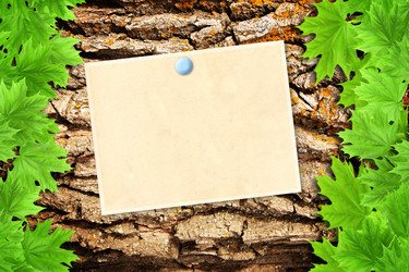 Similar image 613109