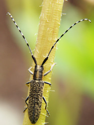 Similar image 613125