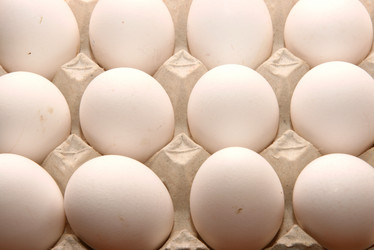 Similar image 613140