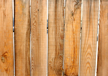 Similar image 613146