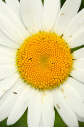 Similar image 613194