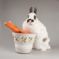 Similar image 613198