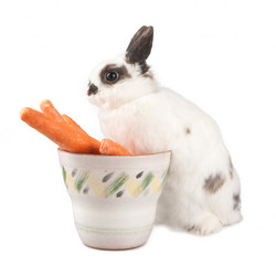 Similar image 613200