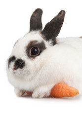 Similar image 613201