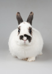 Similar image 613203