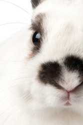 Similar image 613205