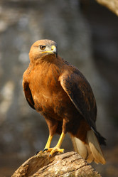 Similar image 613211