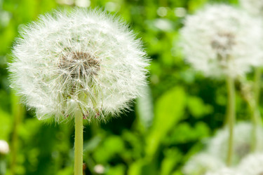 Similar image 613213