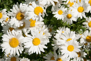 Similar image 613219