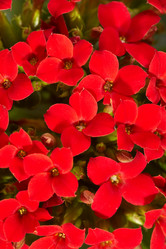 Similar image 613229