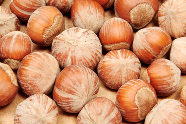 Similar image 613232