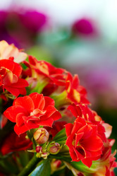 Similar image 613261