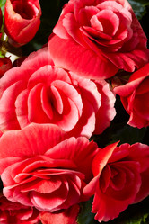 Similar image 613265