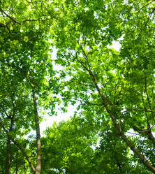 Similar image 613271