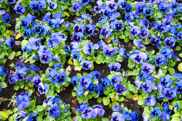 Similar image 613284