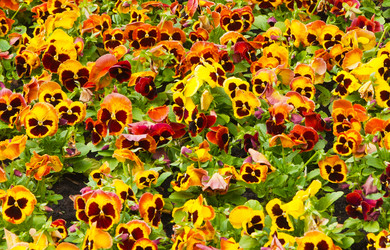 Similar image 613288