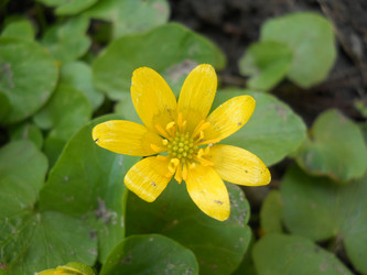 Similar image 613309