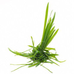 Similar image 613315