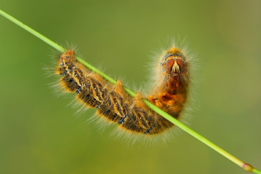 Similar image 613344